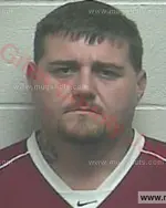 Booking photo of SHANE W TAYLOR, Giles County, May 8, 2017