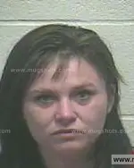 Booking photo of Rhonda Marie Mckinney, Giles County, Mar 15, 2014