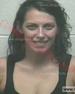 Booking photo of Aimee Renee Holt, Giles County, Aug 17, 2017