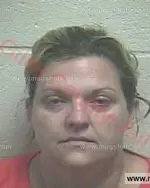 Booking photo of Cassie Suzanne White, Giles County, Oct 23, 2015