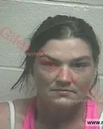 Booking photo of Peggy Nicole Inman, Giles County, Sep 4, 2016
