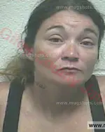 Booking photo of April Michelle Ross, Giles County, Jul 17, 2017