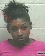 Booking photo of Hope Denise Garrett, Giles County, Feb 12, 2017