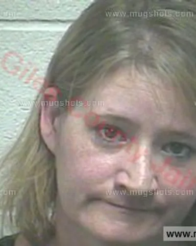 Booking photo of Kelley Parker, Giles County, Aug 4, 2017