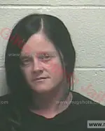 Booking photo of HEATHER LEE WOODARD, Giles County, Nov 4, 2017