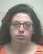 Booking photo of Tiffanie Ann Burley, Giles County, Jun 8, 2017