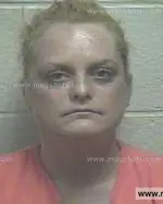 Booking photo of Rachel Denise Coffman, Giles County, Aug 8, 2014