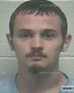 Booking photo of Eric Lee Mcgee, Giles County, Mar 22, 2013