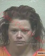 Booking photo of Amanda Morgan Christy, Giles County, May 16, 2018