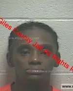 Booking photo of Julia Ann Douglas, Giles County, Dec 28, 2019