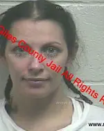 Booking photo of Aimee Renee Holt, Giles County, Jan 26, 2019