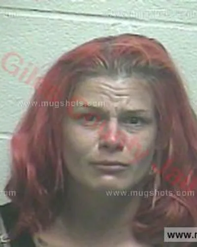 Booking photo of Holly Meeks, Giles County, Jun 5, 2016