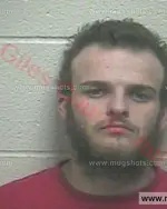 Booking photo of Cody Gage Clark, Giles County, Apr 15, 2017