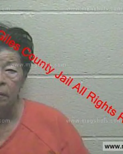 Booking photo of Wanda Harmes, Giles County, Feb 5, 2019