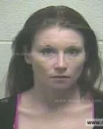 Booking photo of Ashley Dawn Dollins, Giles County, Feb 9, 2014