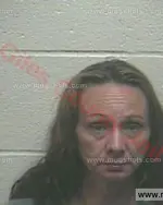 Booking photo of Ronda Gene Fletcher, Giles County, Nov 2, 2017