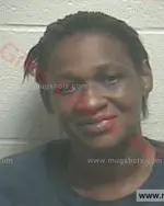 Booking photo of MELINDA D NELSON, Giles County, Oct 17, 2016