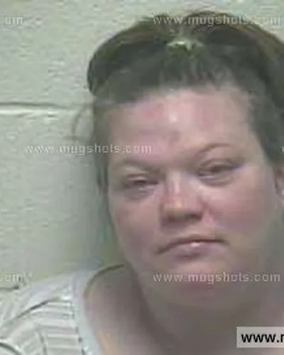 Booking photo of AMANDA Nicole HUGHES, Giles County, Feb 25, 2015