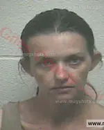 Booking photo of KATRINA M HARGROVE, Giles County, May 31, 2017