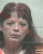 Booking photo of Dena Renay Johns, Giles County, Jan 4, 2018