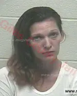 Booking photo of Kristina Lynn Mock, Giles County, Sep 26, 2015