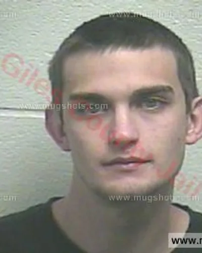 Booking photo of William Murry Jr Davis Jr., Giles County, Feb 23, 2016