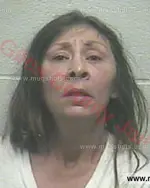 Booking photo of Lucinda Ann Goad, Giles County, Nov 11, 2015