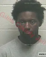 Booking photo of Novodny Bikel Young, Giles County, Oct 29, 2017