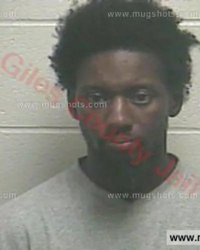 Booking photo of Novodny Bikel Young, Giles County, Oct 29, 2017