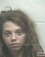 Booking photo of Amber Dawn Pitts, Giles County, Sep 13, 2013