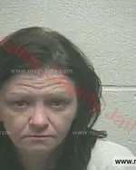 Booking photo of Brianna Lee Dale, Giles County, Nov 11, 2017