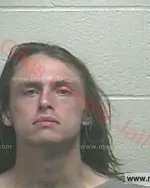 Booking photo of Kaylen Lee Sullivan, Giles County, Mar 22, 2018