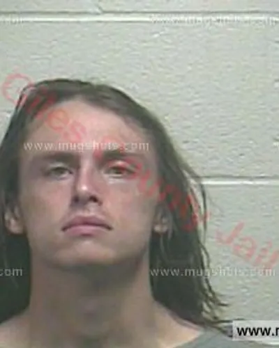 Booking photo of Kaylen Lee Sullivan, Giles County, Mar 22, 2018