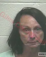 Booking photo of Ronda Gene Fletcher, Giles County, Jun 14, 2018