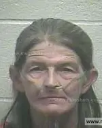 Booking photo of Karen Sue Mcneil, Giles County, Nov 26, 2014