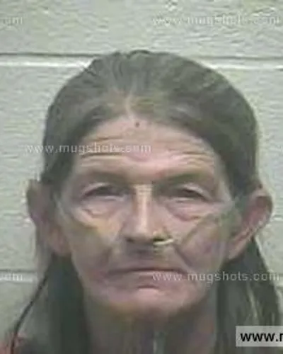 Booking photo of Karen Sue Mcneil, Giles County, Nov 26, 2014