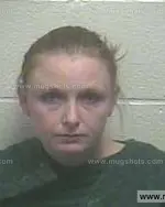 Booking photo of Carrie Lynn Lucas, Giles County, Nov 19, 2014