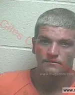 Booking photo of Adam Corey Cline, Giles County, Jun 29, 2016