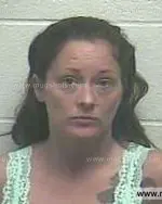 Booking photo of Lindsay Michelle Burls, Giles County, Oct 22, 2014