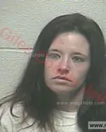 Booking photo of BRITNIE S WHITE, Giles County, Dec 10, 2017