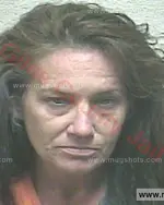 Booking photo of Christina Lynne Ashton, Giles County, Jun 11, 2018