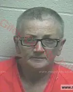 Booking photo of Wanda Gayle Clark, Giles County, Jul 12, 2016