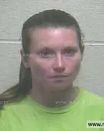 Booking photo of Ashley Dawn Dollins, Giles County, Oct 12, 2013