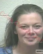 Booking photo of Erica Nicole Whitehead, Giles County, May 5, 2017