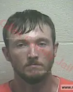 Booking photo of Joshua Lee Springer, Giles County, Jun 15, 2018