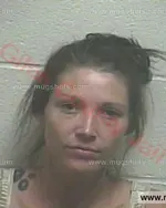 Booking photo of Ginger Michelle Johnson, Giles County, Jun 5, 2016