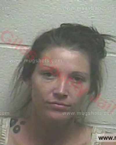 Booking photo of Ginger Michelle Johnson, Giles County, Jun 5, 2016