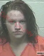 Booking photo of Kristin Marie Allen, Giles County, Feb 25, 2017