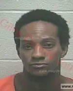 Booking photo of Timothy Ozell Gilbert, Giles County, May 30, 2018