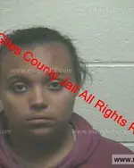 Booking photo of Suncerray Shron Gray, Giles County, Apr 13, 2020